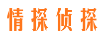 安庆外遇出轨调查取证